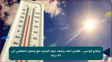 ارتفاع قياسي.. طقس الغد يشهد ذروة الحرارة مع وصول العظمى إلى 43 درجة